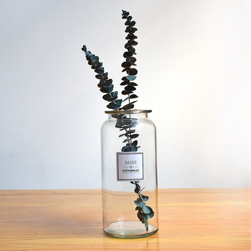 Wholesale creative home ins vase modern simple tabletop flower arrangement hydroponic flower large size clear glass vase
