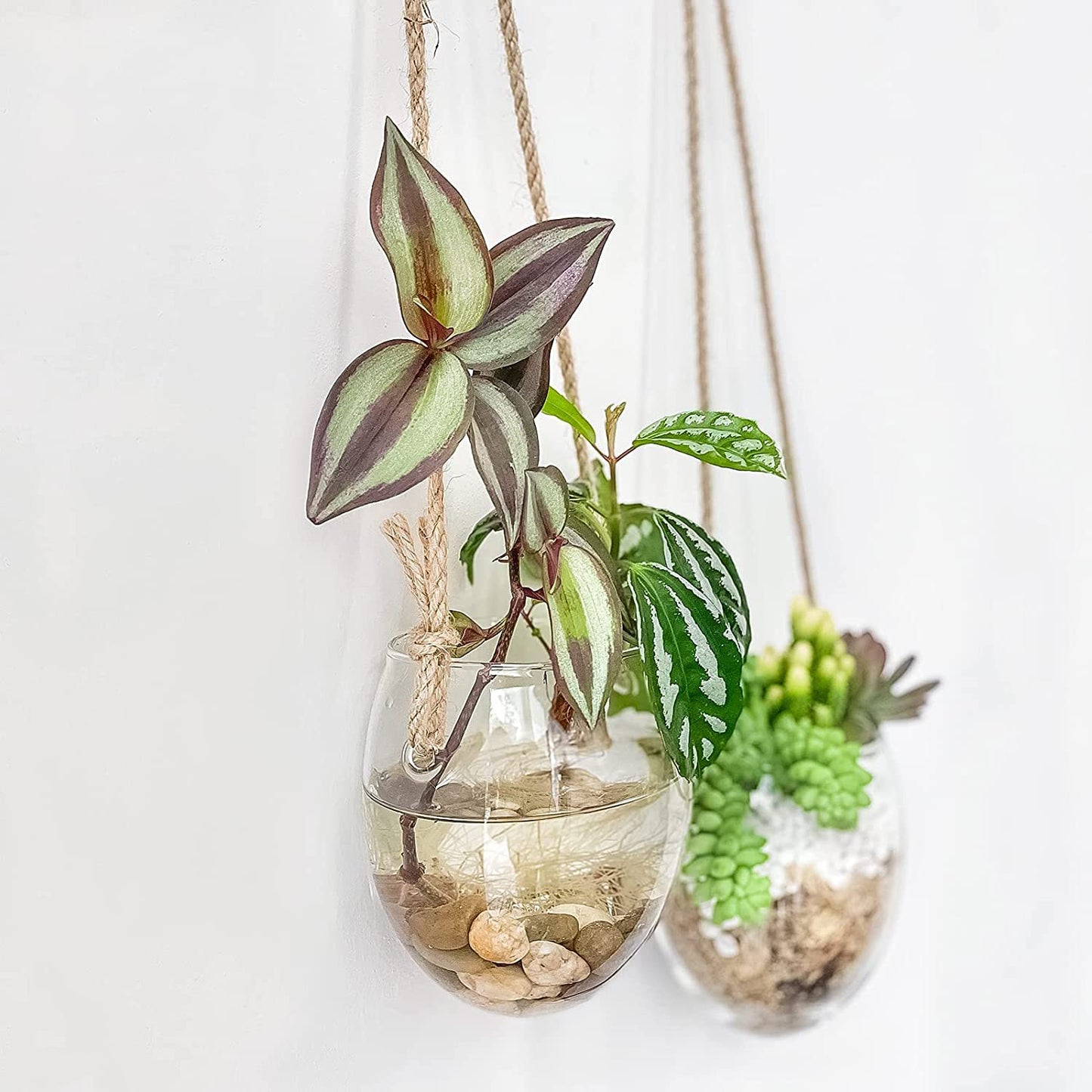 Hanging hydroponic egg-shaped glass vase wall hanging wall hydroponic plant container home gardening wall decoration pendant