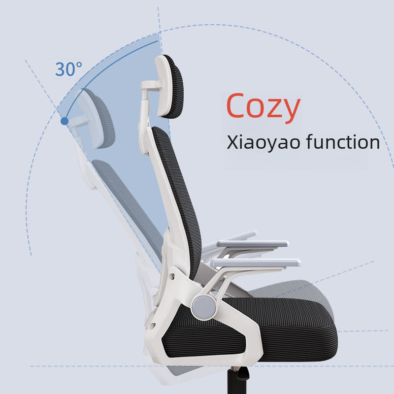 Chairs, swivel chairs, office chairs, sitting, not tired, computer chairs, home mesh chairs, study chairs, conference chairs, ergonomic chairs