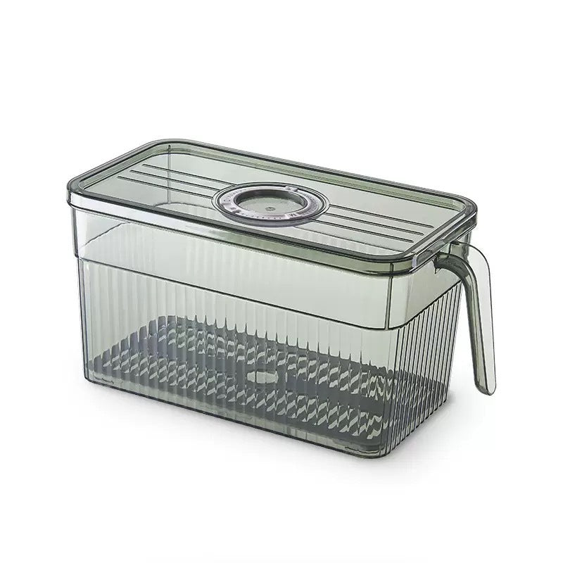 Cross-border foreign trade timing refrigerator handle storage box, crisper box, kitchen vegetable organizer, artifact, special storage for freezing