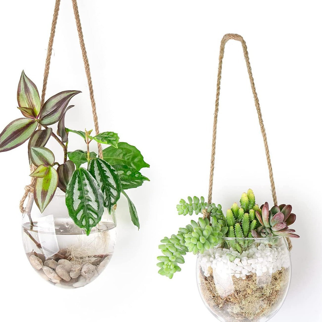 Hanging hydroponic egg-shaped glass vase wall hanging wall hydroponic plant container home gardening wall decoration pendant