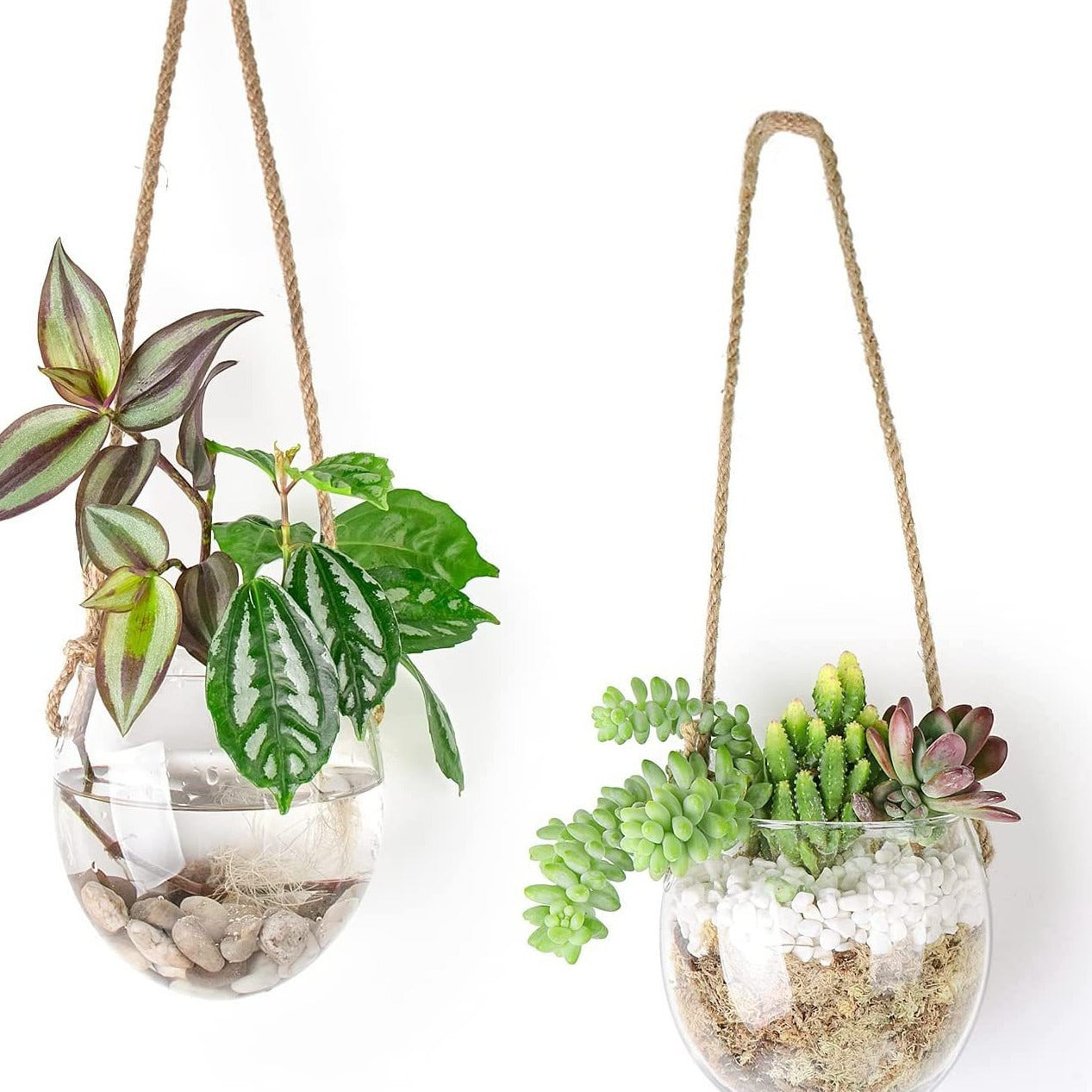 Hanging hydroponic egg-shaped glass vase wall hanging wall hydroponic plant container home gardening wall decoration pendant