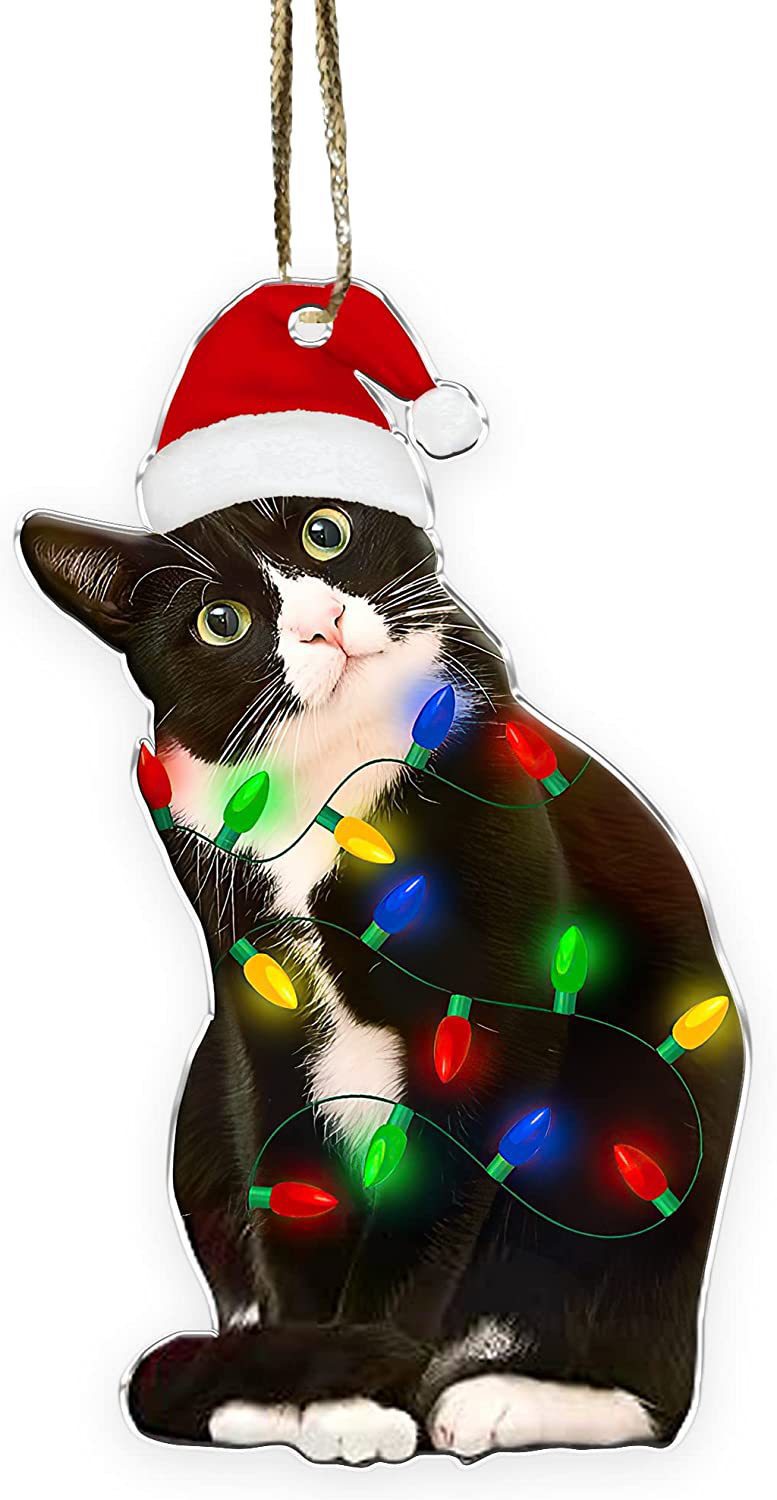 Amazon New Cat Cat Lovers Christmas Ornament Cute Cat Christmas Day Ornament Tree Decoration Pendant