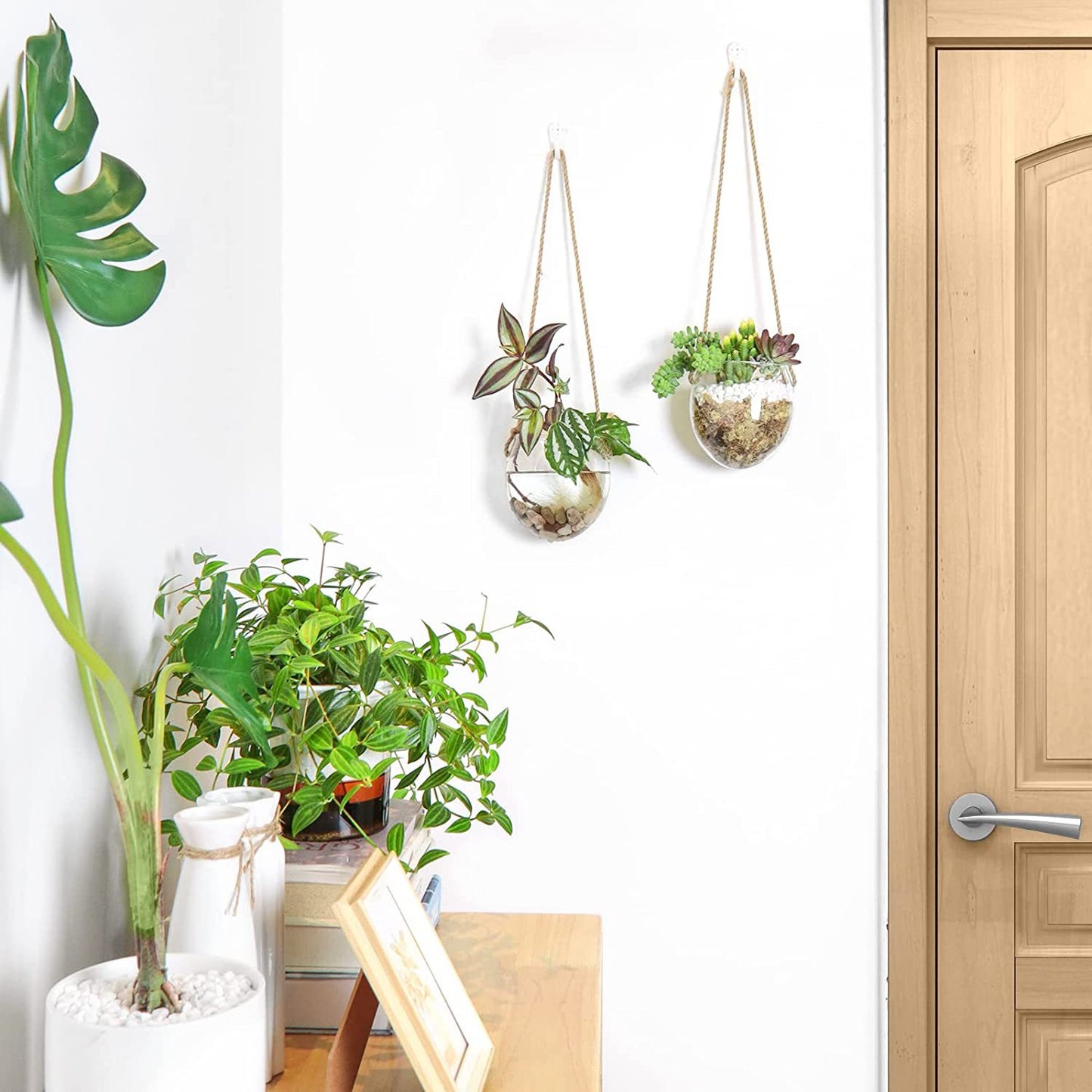 Hanging hydroponic egg-shaped glass vase wall hanging wall hydroponic plant container home gardening wall decoration pendant