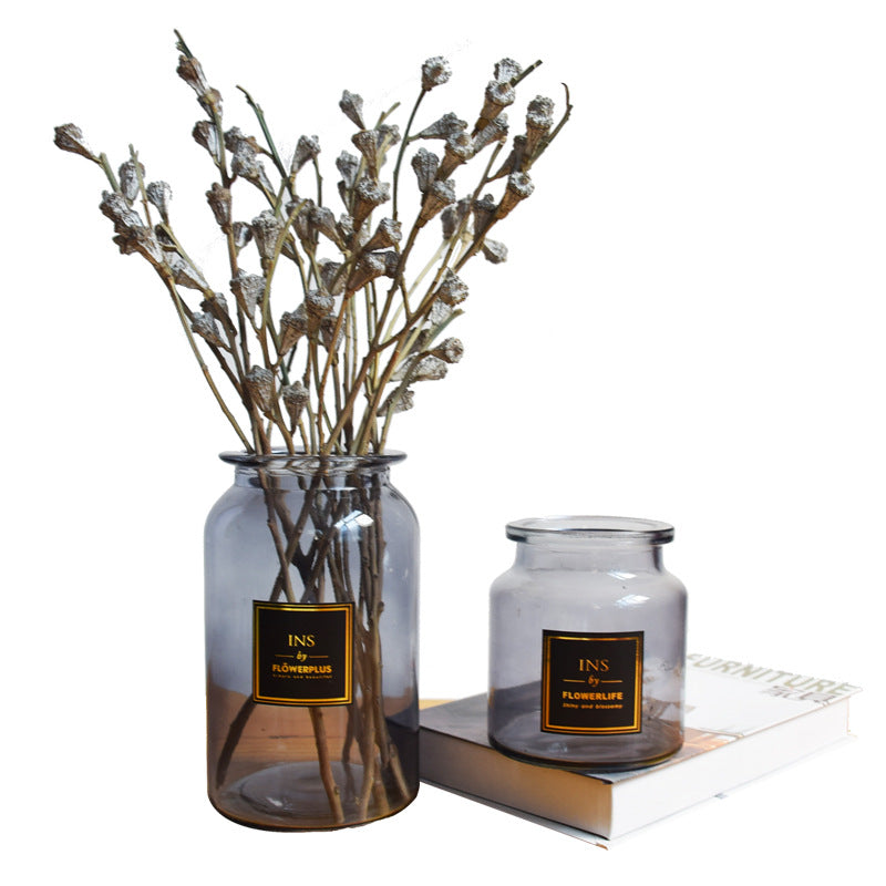 Wholesale creative home ins vase modern simple tabletop flower arrangement hydroponic flower large size clear glass vase