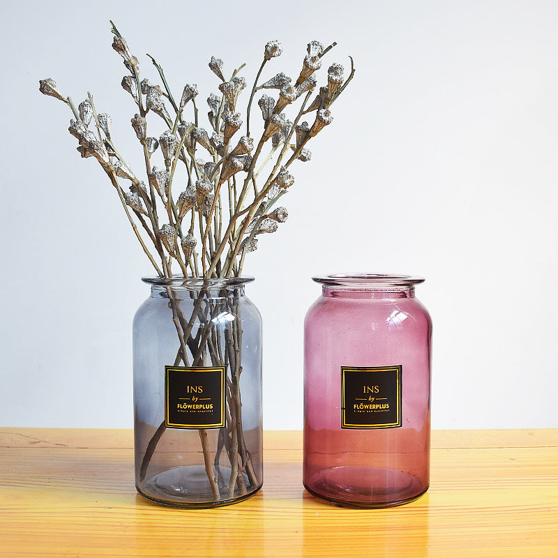 Wholesale creative home ins vase modern simple tabletop flower arrangement hydroponic flower large size clear glass vase