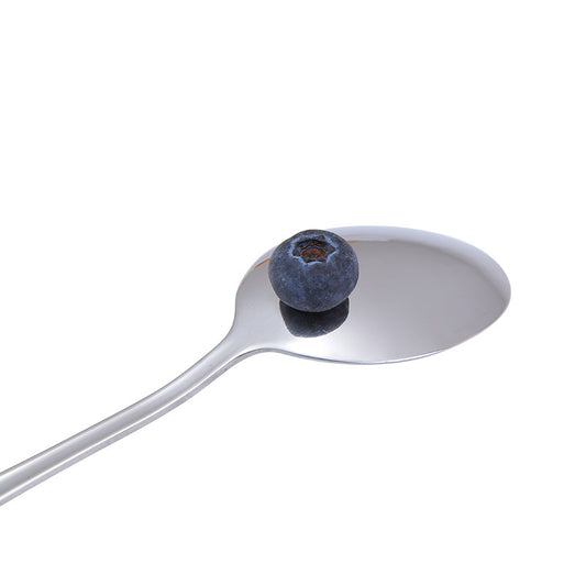 Stainless Steel Spoon