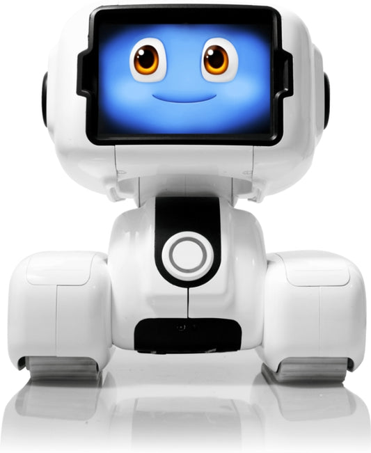 HAPI iRobot T2