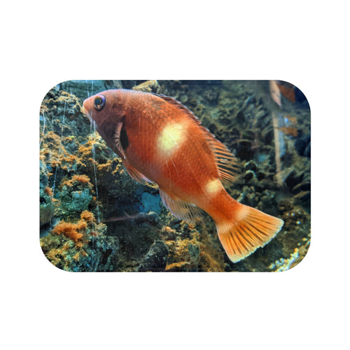 Orange Fish Bath Mat