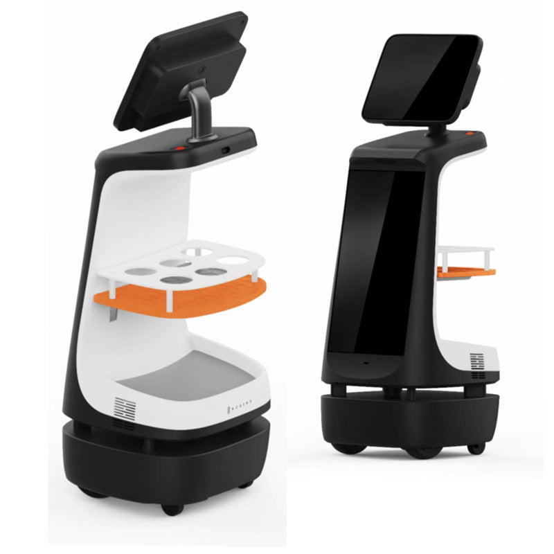RRC1 intelligent home care companion robot danger warning - accompany empty nesters and chat intelligently