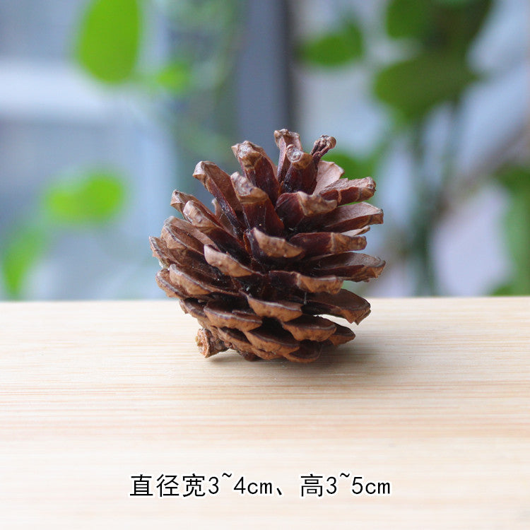 New Christmas decorations New Year Christmas handmade DIY pine ball acorn dried flower dried fruit wood chip wooden stake props