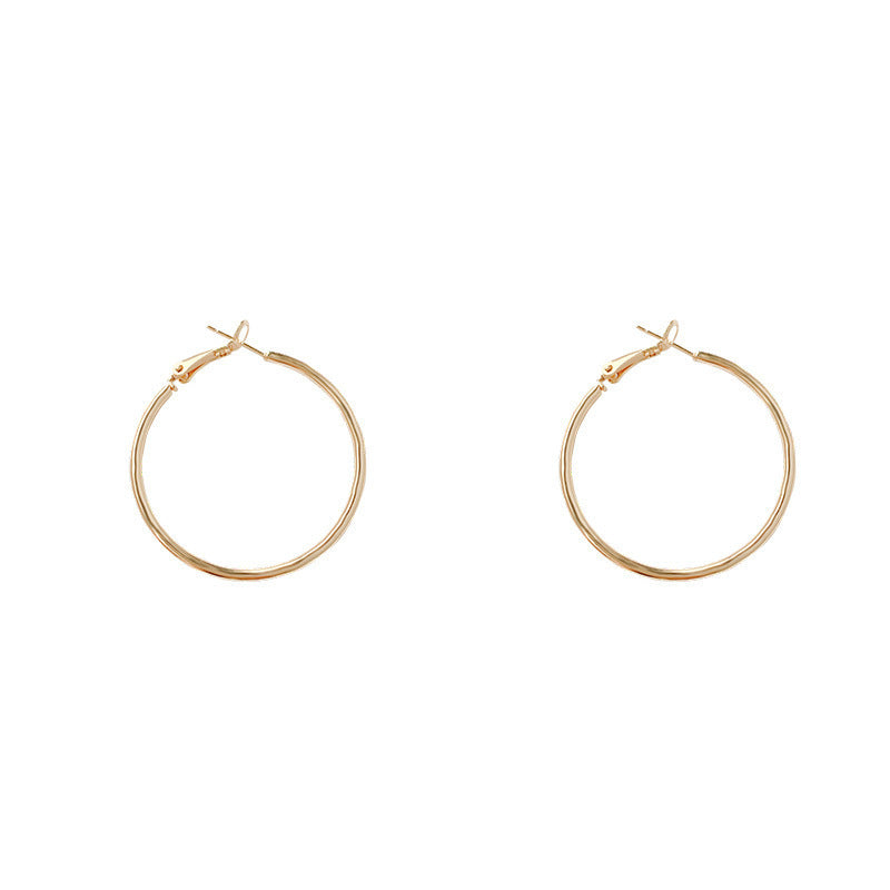 Simple plain circle hoop earrings women's 2024 new hot light luxury niche earrings with a sense of luxury and unique temperament