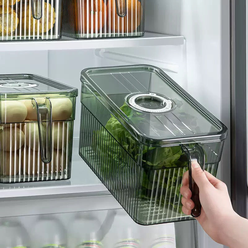 Cross-border foreign trade timing refrigerator handle storage box, crisper box, kitchen vegetable organizer, artifact, special storage for freezing