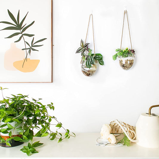 Hanging hydroponic egg-shaped glass vase wall hanging wall hydroponic plant container home gardening wall decoration pendant