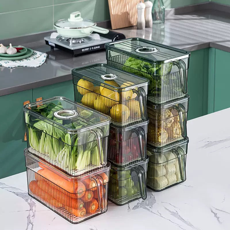 Cross-border foreign trade timing refrigerator handle storage box, crisper box, kitchen vegetable organizer, artifact, special storage for freezing