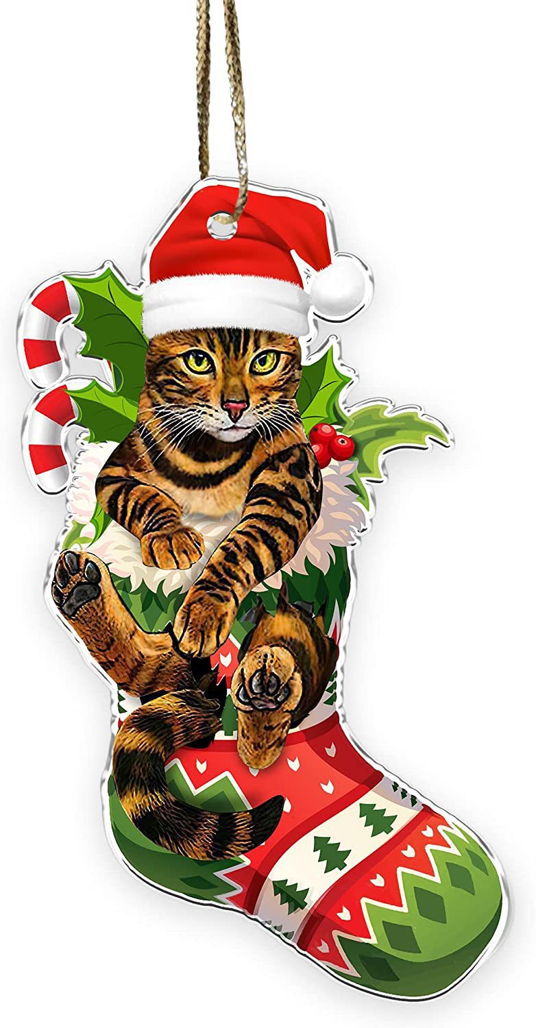 Amazon New Cat Cat Lovers Christmas Ornament Cute Cat Christmas Day Ornament Tree Decoration Pendant