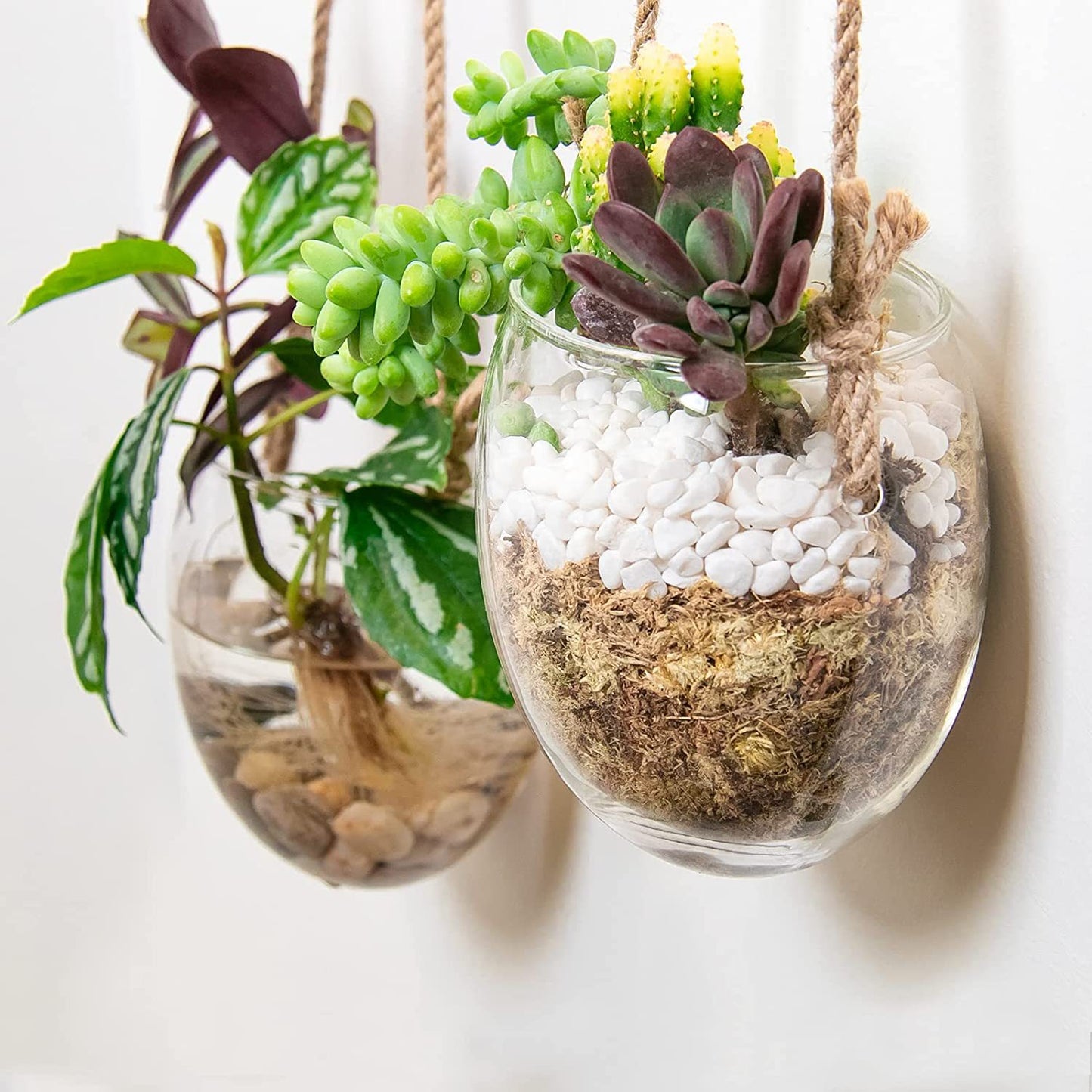 Hanging hydroponic egg-shaped glass vase wall hanging wall hydroponic plant container home gardening wall decoration pendant