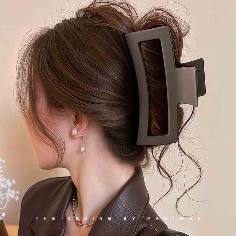 Hairpin women's back of the head 2025 new grab clip large shark clip high-end sensory hair grip hair clip headwear hairpin