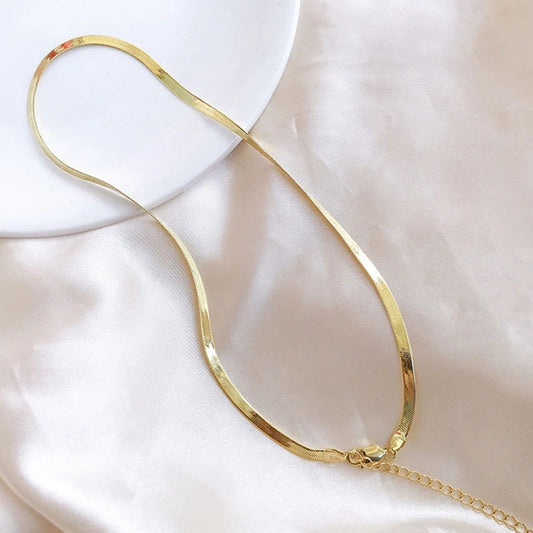 Titanium steel snake bone chain ins style necklace women's stacked plain chain 18K gold niche thin chain versatile neck chain net red jewelry