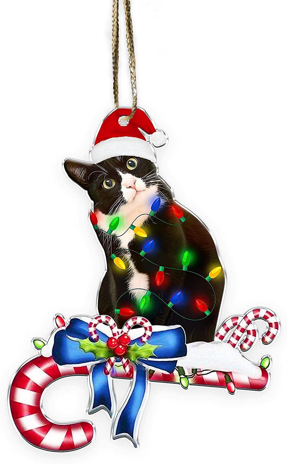 Amazon New Cat Cat Lovers Christmas Ornament Cute Cat Christmas Day Ornament Tree Decoration Pendant